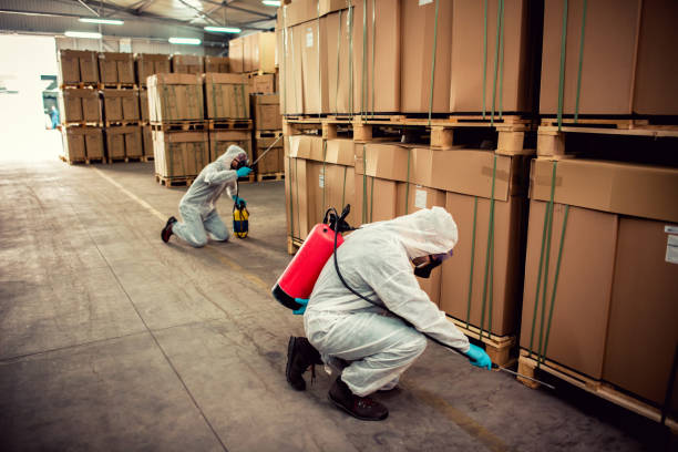 Best Rat Extermination Near Me  in West Frankfort, IL