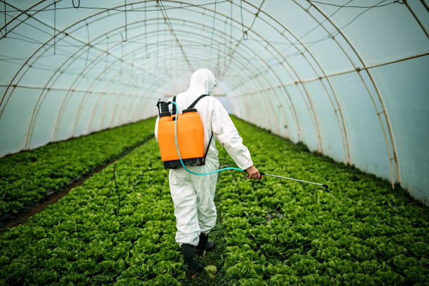 Best Affordable Pest Control Services  in West Frankfort, IL