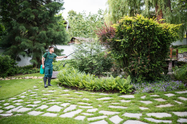 Best Residential Pest Control  in West Frankfort, IL