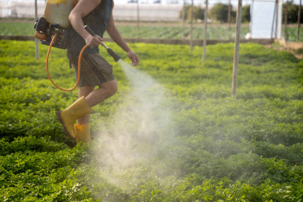 Best Exterminator Services  in West Frankfort, IL