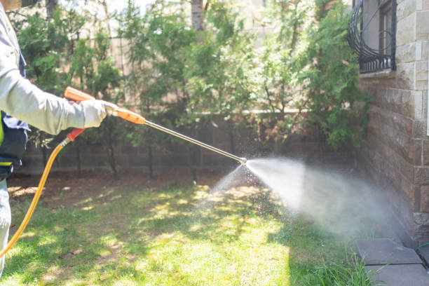 Best Best Pest Control Companies  in West Frankfort, IL