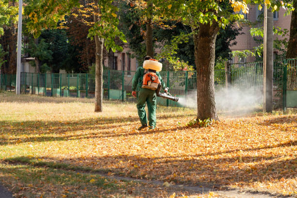 West Frankfort, IL Pest Control Company