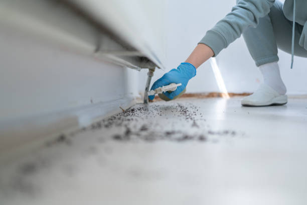 Best Pest Inspection Near Me  in West Frankfort, IL