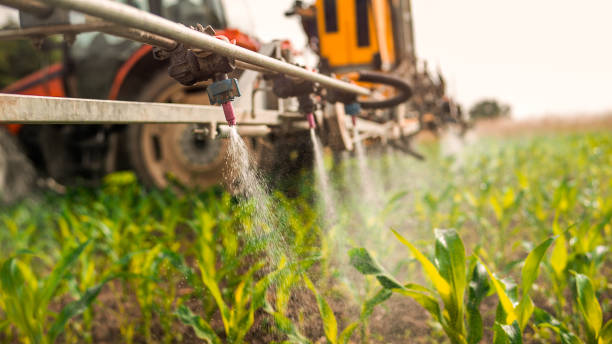 Best Best Pest Control Companies  in West Frankfort, IL