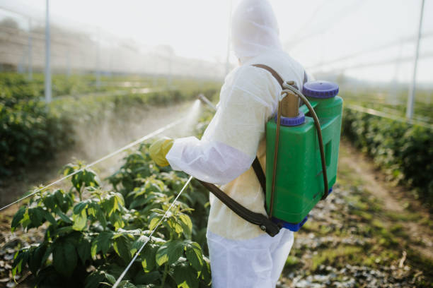 Best Mosquito Control Services  in West Frankfort, IL